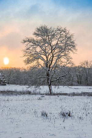 McKelvey Road in winter