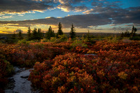 Sunset on Dolly Sods, WV