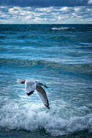 Lake Michigan capture