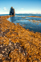 The Giant Troll near the Vatnsnes peninsula